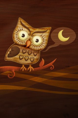 Night Owl