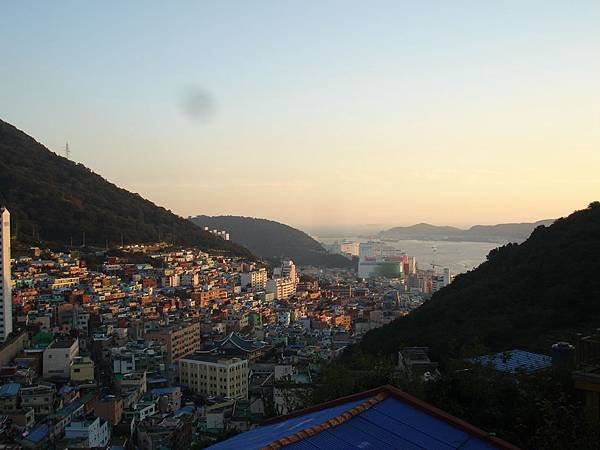 DSC03010