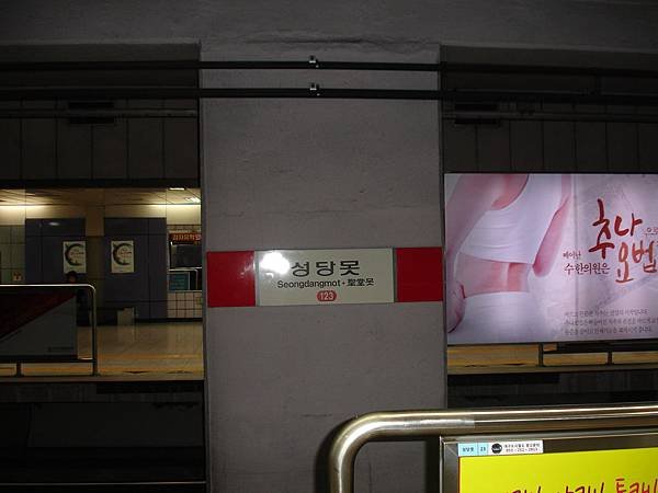 DSC02954