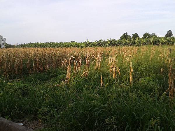 20150611_170228
