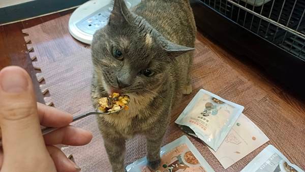 【寵物】貓貓狗狗全都愛！「寵心出發 機能鮮食餐包」