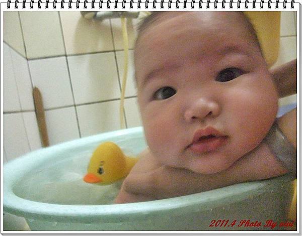 DSCF8117.JPG