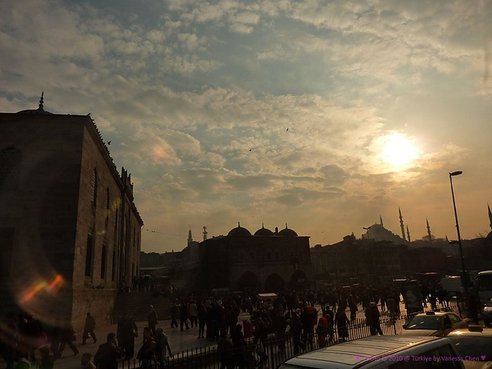P1130803.jpg