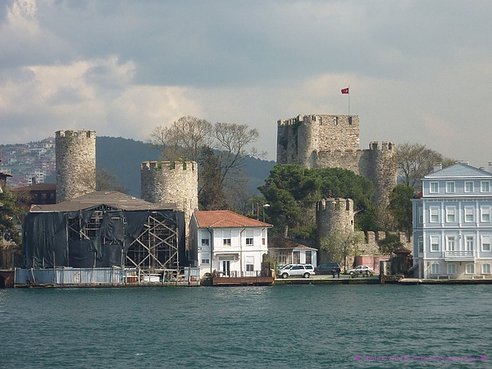 P1130662.jpg
