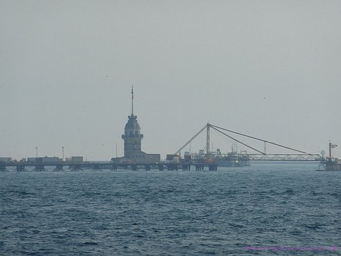 P1130725.jpg