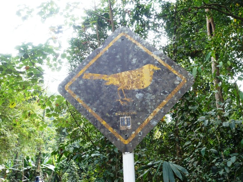 KKNP05 路標.JPG