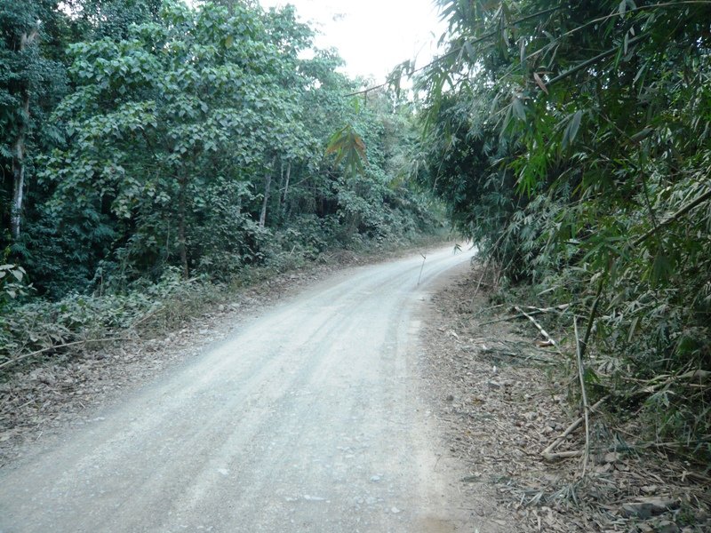 KKNP06 路邊生境.JPG