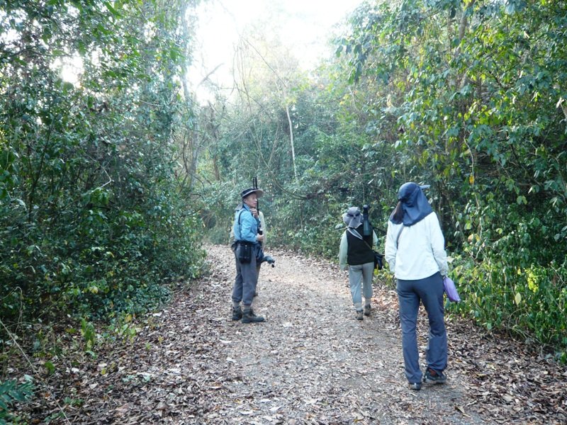 KKNP07 露營區步道.JPG