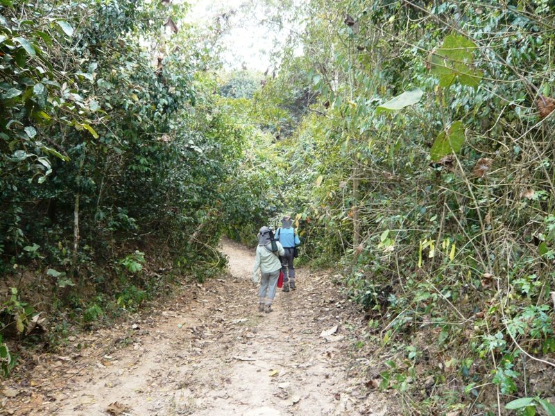 KKNP08 露營區步道.JPG