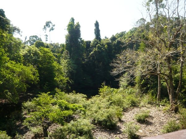 KYNP24青少年營地.JPG