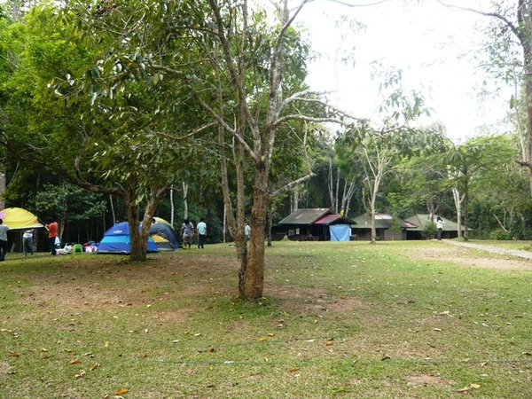 KYNP25青少年營地.JPG