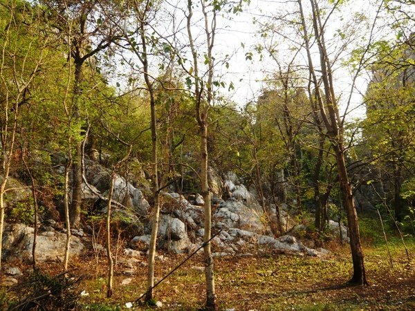 KYNP34Wat廟Pha Put Ta Bath Noi.JPG