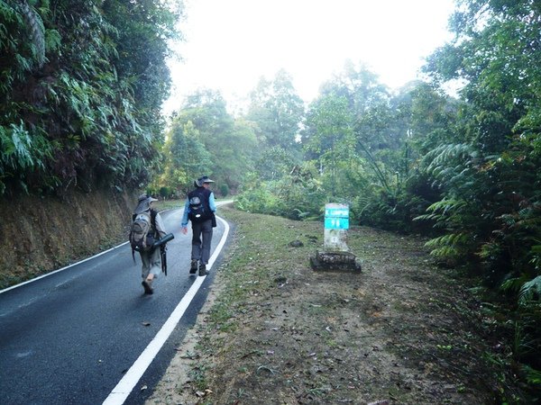 FHNP01 Old Road.JPG