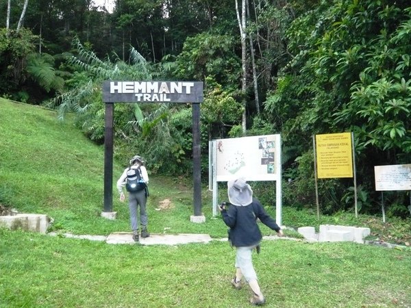 FHNP11Hemmant Trail.JPG