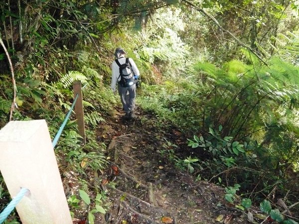FHNP12Hemmant Trail.JPG