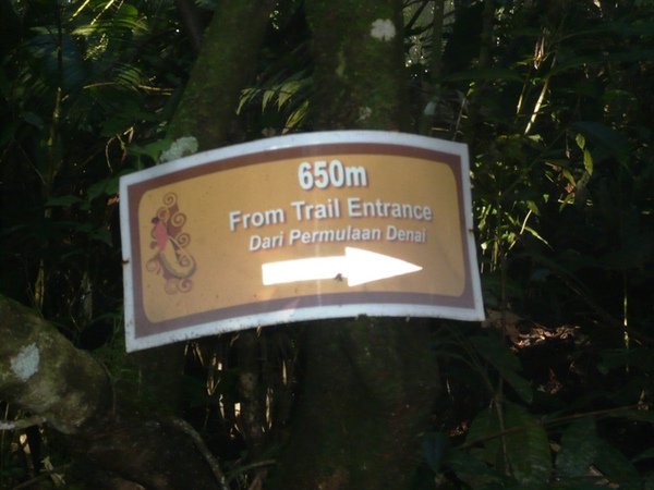FHNP14Hemmant Trail.JPG