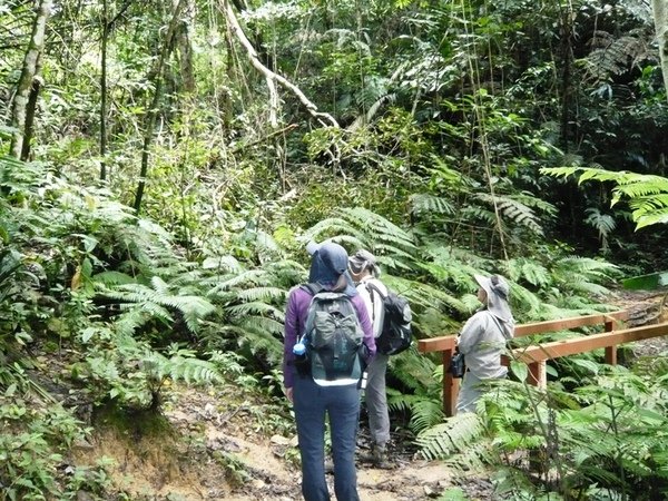 FHNP19Hemmant Trail.JPG