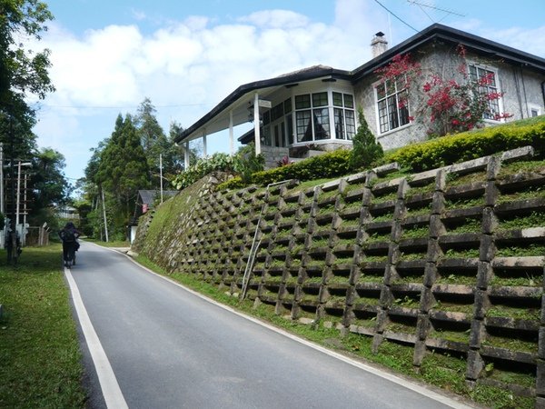 FHNP25Bishop Trail外公路.JPG