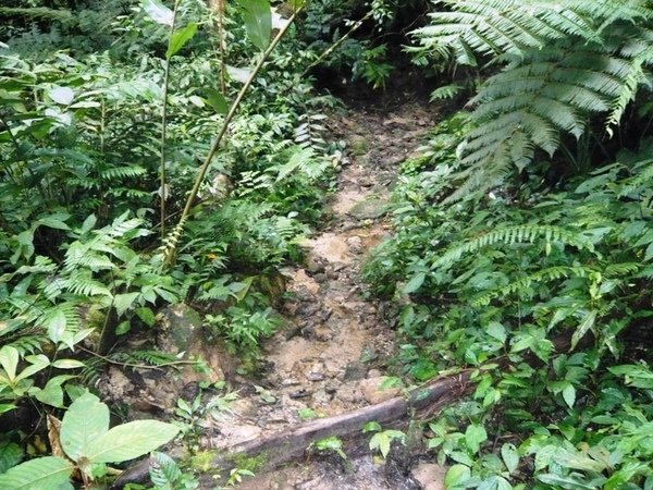 FHNP23Bishop Trail.JPG