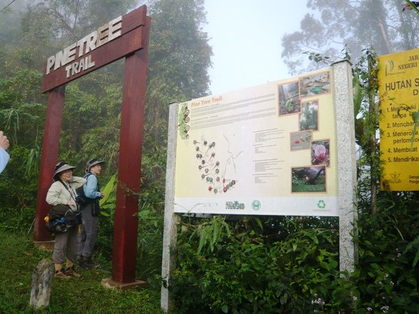 FHNP27Pine Tree Trail.JPG