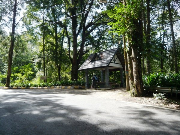 FHNP33高球場邊公路.JPG