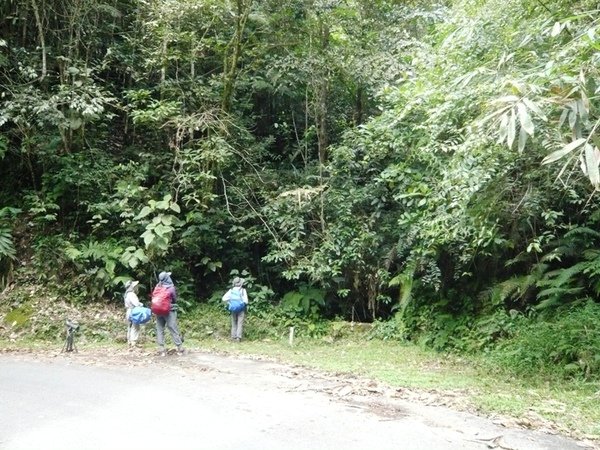 FHNP08 Old Road.JPG