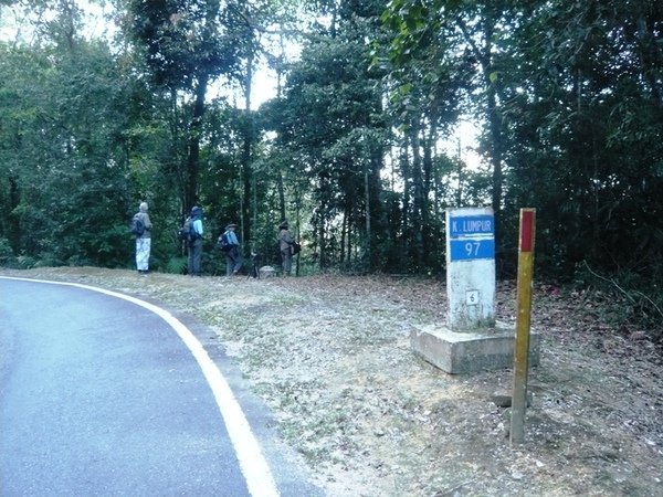 FHNP11 Old Road.JPG
