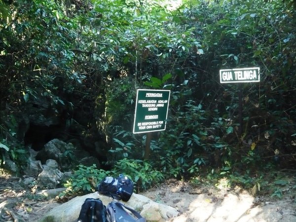TNNP86GUA TELING蝙蝠洞.JPG