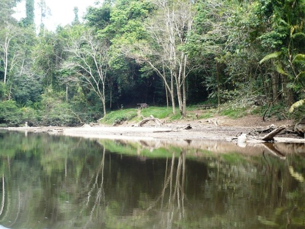 TNNP90 國家公園內河流.JPG