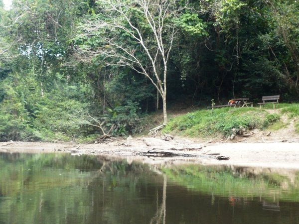 TNNP91 國家公園內河流.JPG