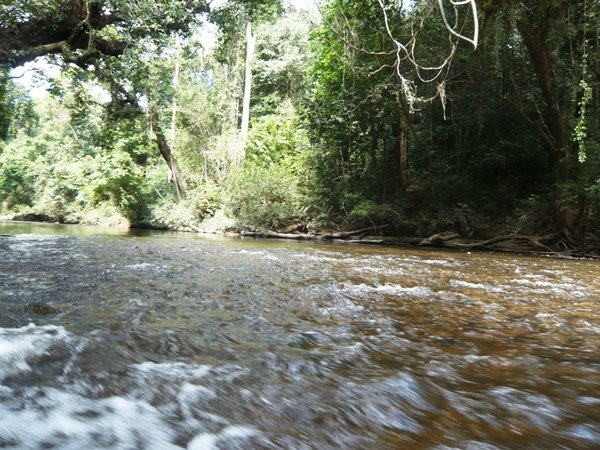 TNNP93 國家公園內河流.JPG