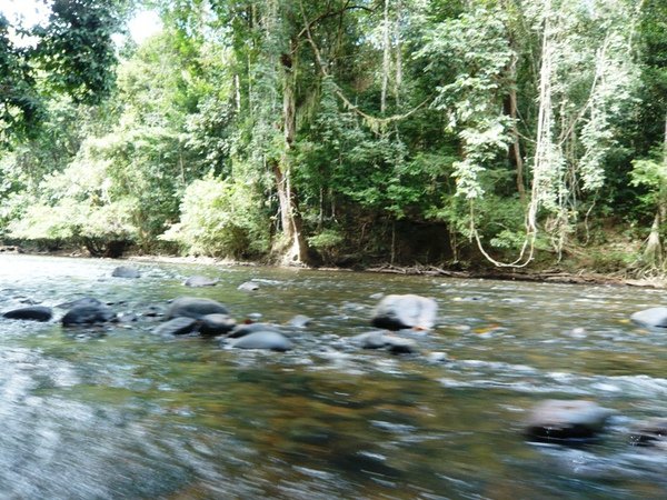 TNNP95 國家公園內河流.JPG