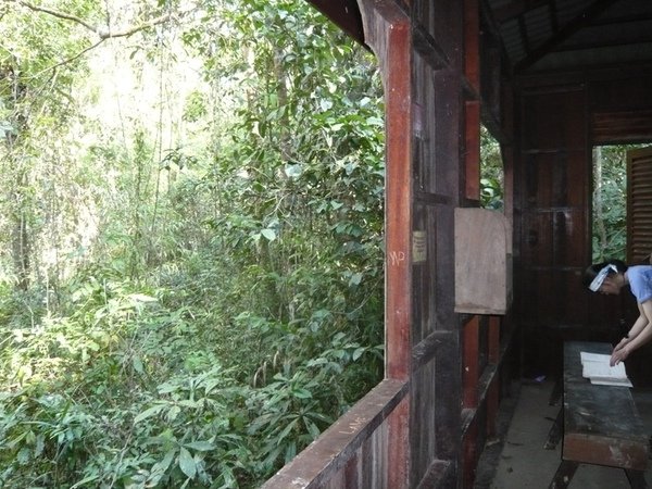 TNNP63Blau Hide.JPG