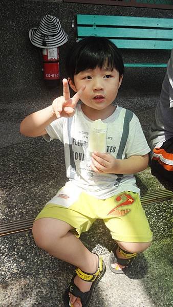 DSC08766s.jpg