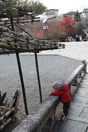 IMG_5773.JPG