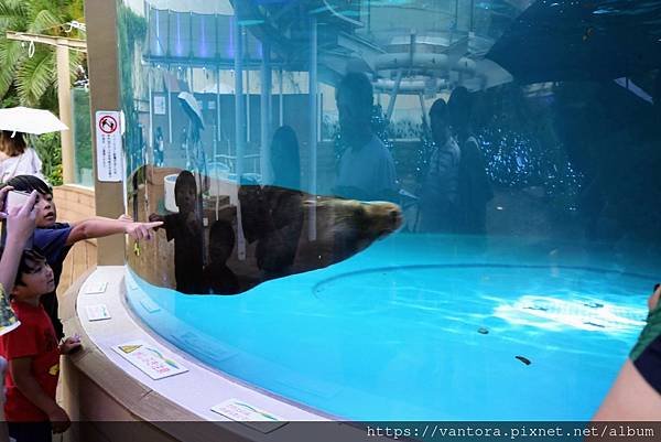 &lt;東京水族館&gt; 就在屋頂的陽光水族館