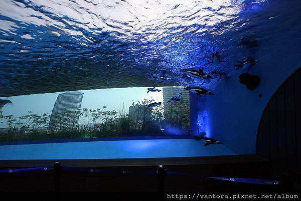 &lt;東京水族館&gt; 就在屋頂的陽光水族館