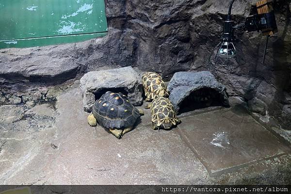 &lt;東京水族館&gt; 就在屋頂的陽光水族館