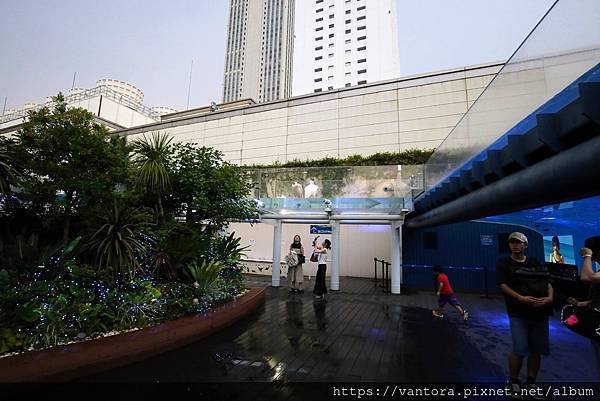 &lt;東京水族館&gt; 就在屋頂的陽光水族館