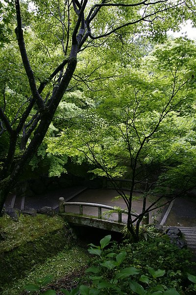 ＜京都景點＞2010 京都 東福寺