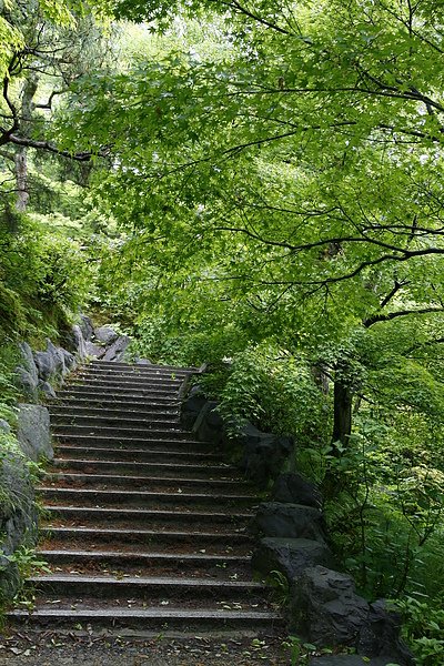 ＜京都景點＞2010 京都 東福寺