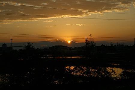 _MG_8513.JPG