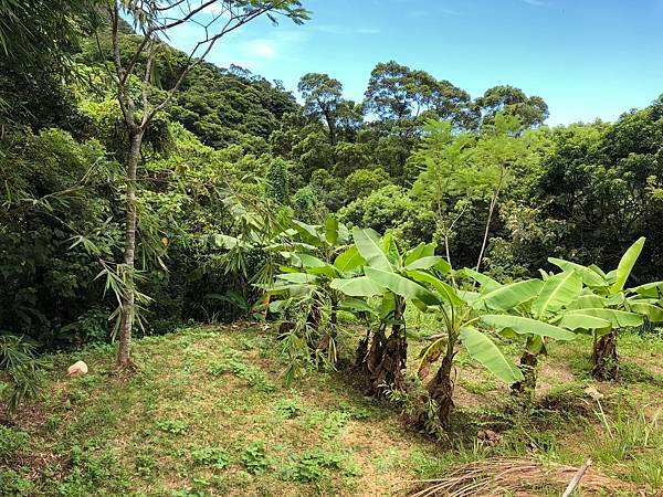 台北市最適合精舍,道場,寺廟,教堂的陽明山土地出售 0937