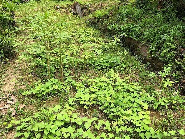 有溪流的土地,適合開休閒農場,民宿的陽明山土地0937 92