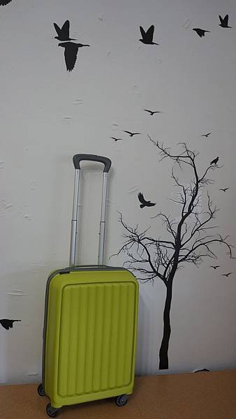 DSC08118.jpg