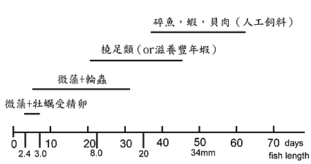 fig01-05.gif