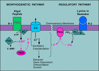 FIG_15