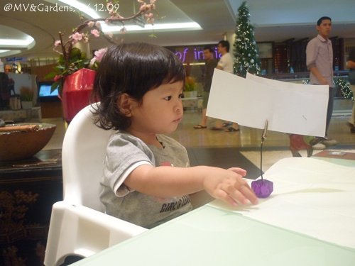 P1050635.JPG