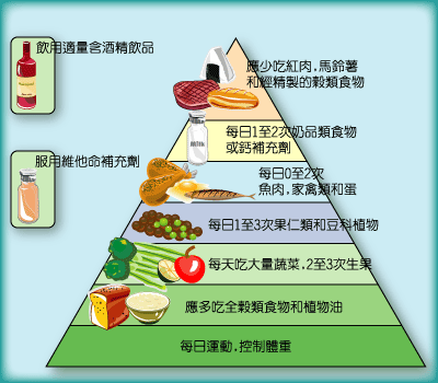 健康飲食金字塔