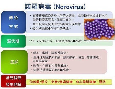 諾羅病毒小百科　不可不知的自保之道